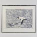 1774&nbsp;6122&nbsp;Färglitografi